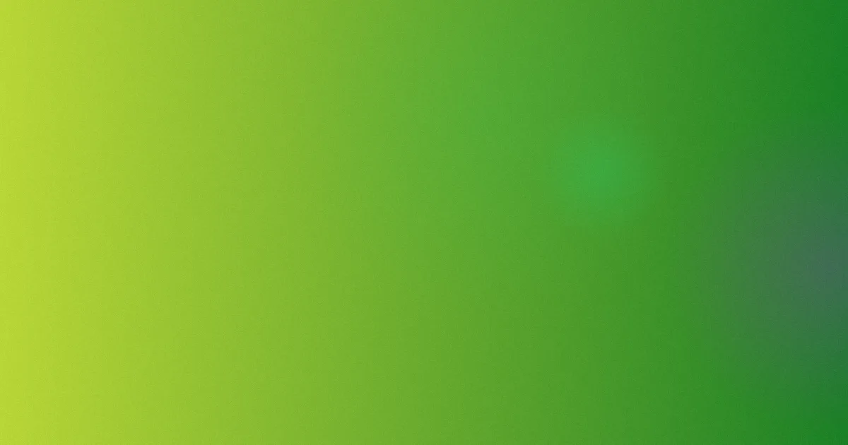 911在线攻略：正版观看流程